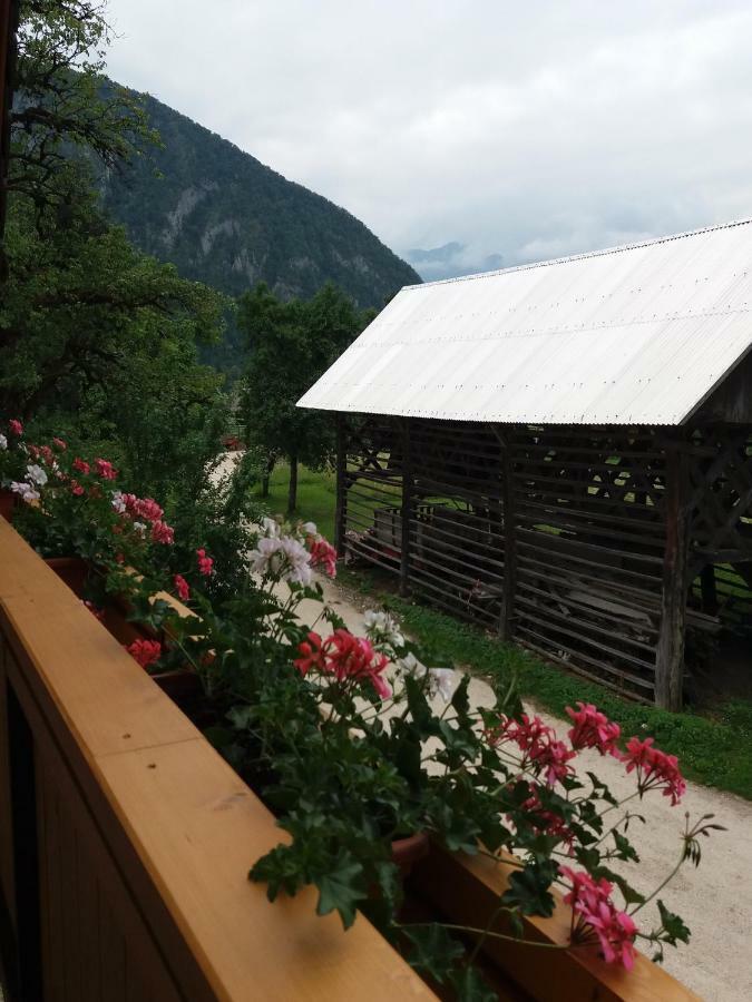 Apartma Momo Bohinj Exterior foto