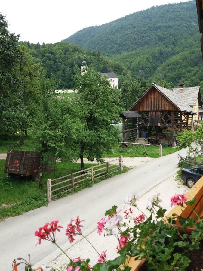 Apartma Momo Bohinj Exterior foto